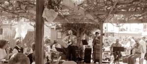 Bills-Band-Wisteria-2013sm